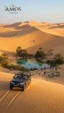 Great Sand Sea Dunes